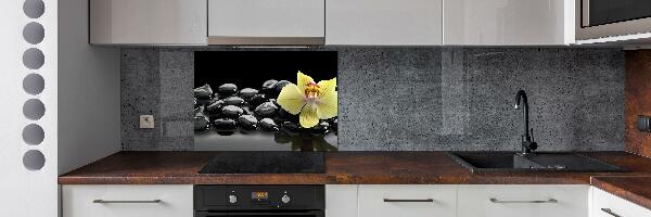 Cooker splashback Orchid