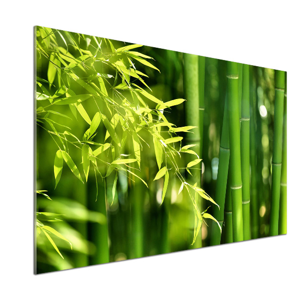 Cooker splashback Bamboo