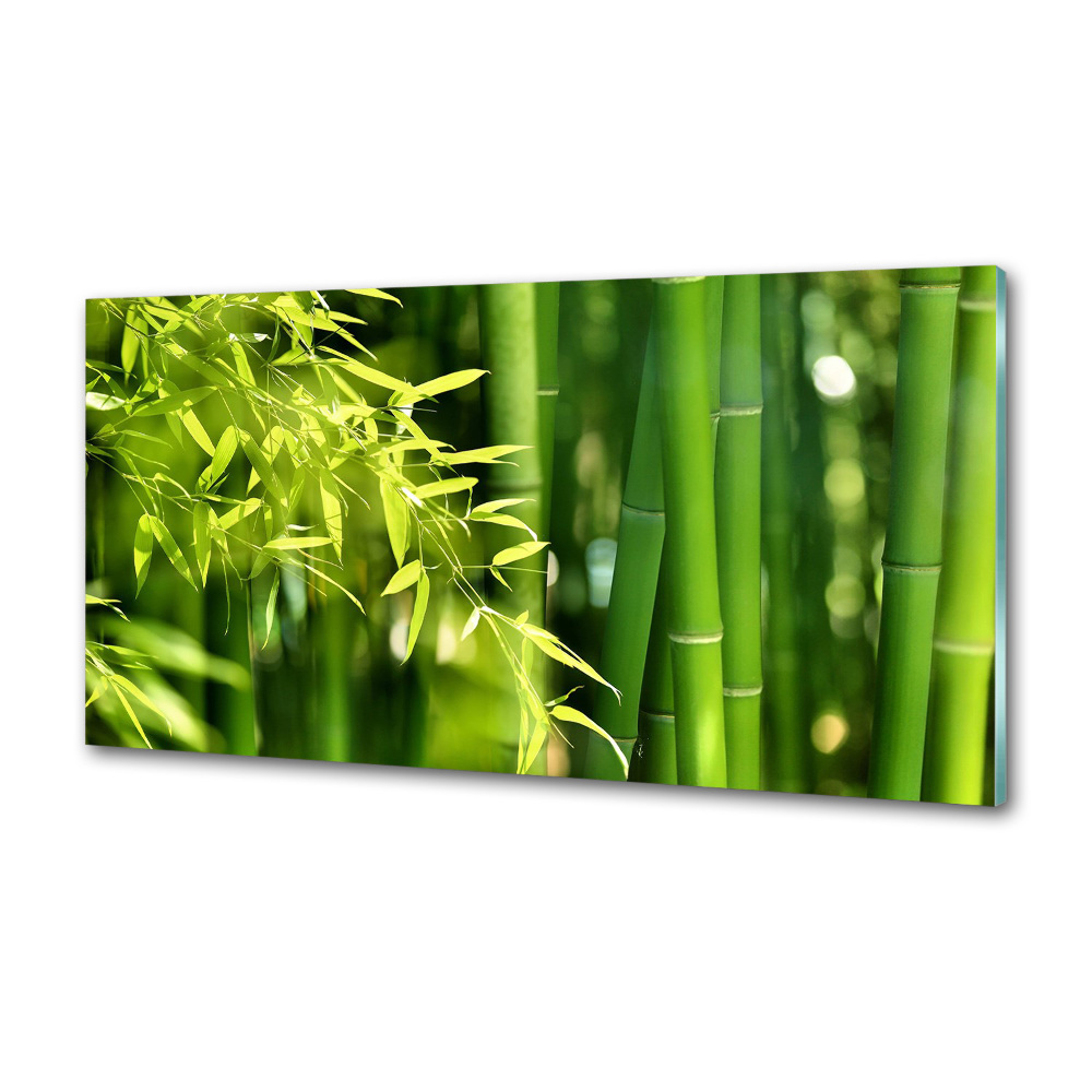 Cooker splashback Bamboo