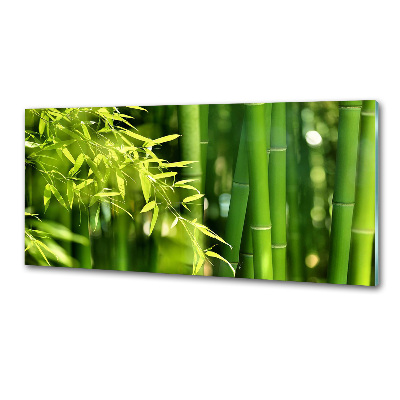 Cooker splashback Bamboo