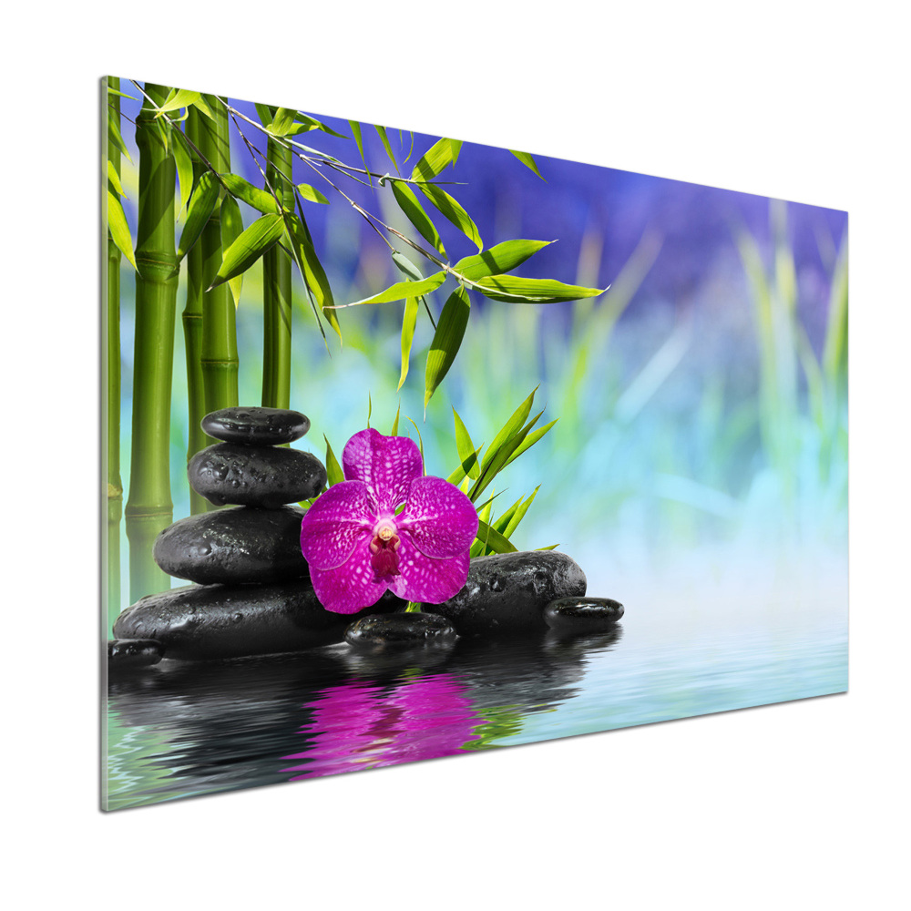 Cooker splashback Orchid bamboo