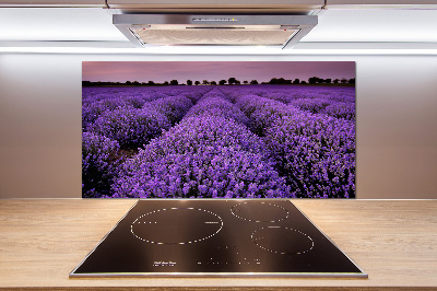 Cooker splashback Lavender field