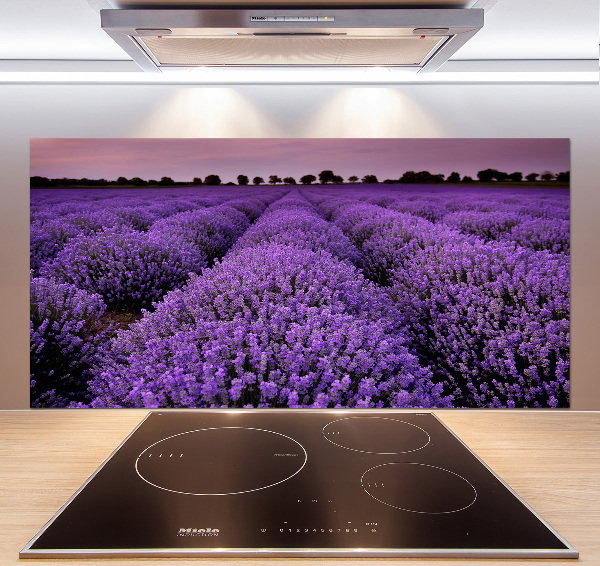 Cooker splashback Lavender field