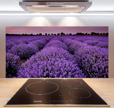 Cooker splashback Lavender field