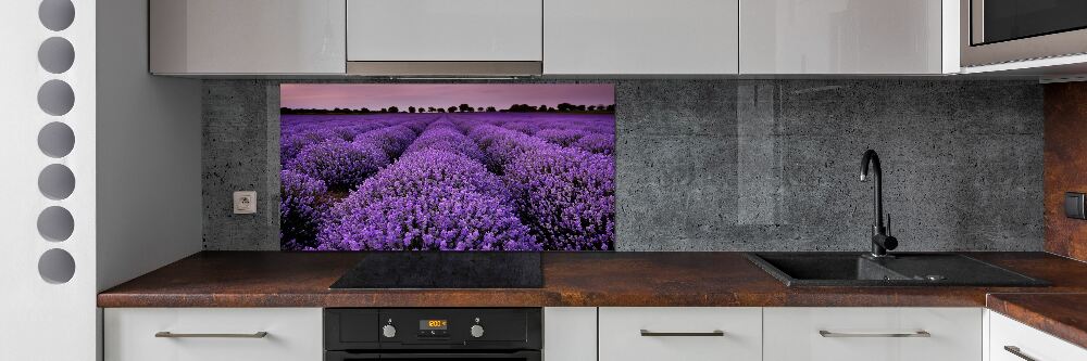 Cooker splashback Lavender field