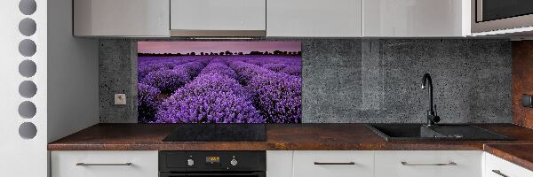 Cooker splashback Lavender field