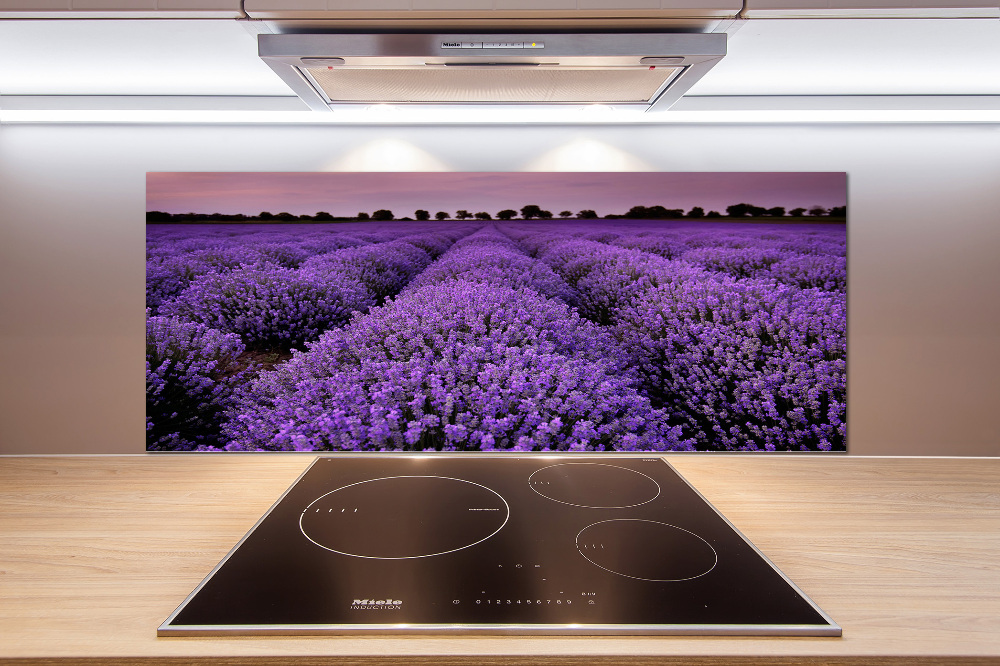 Cooker splashback Lavender field