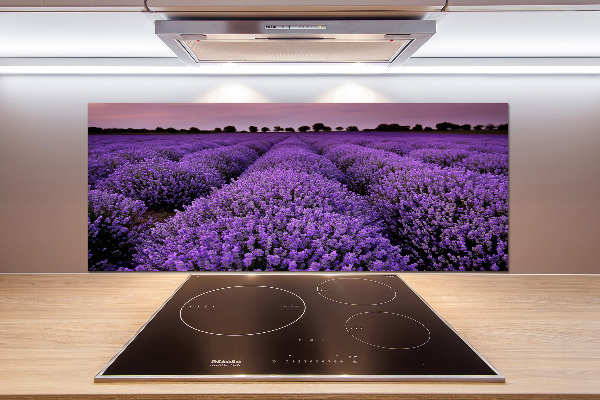 Cooker splashback Lavender field