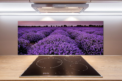 Cooker splashback Lavender field