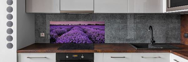 Cooker splashback Lavender field