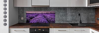 Cooker splashback Lavender field