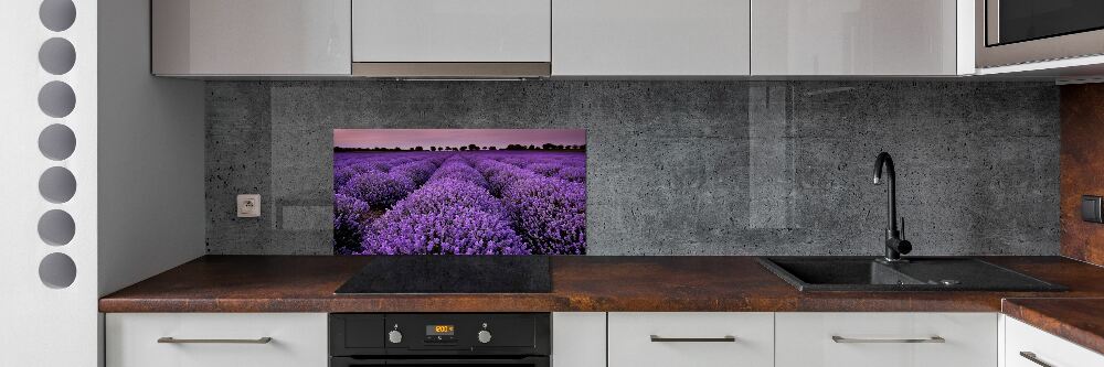 Cooker splashback Lavender field