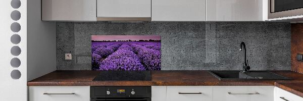 Cooker splashback Lavender field