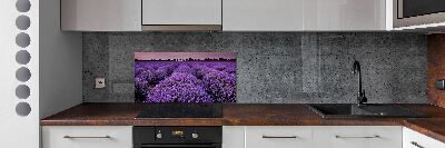 Cooker splashback Lavender field