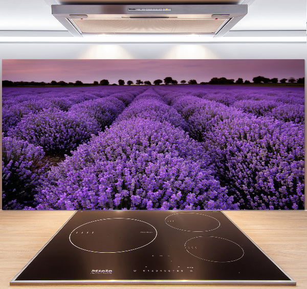 Cooker splashback Lavender field