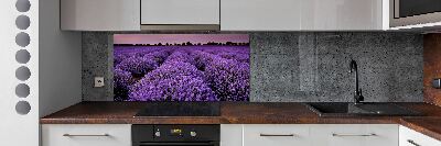 Cooker splashback Lavender field