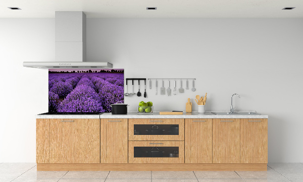 Cooker splashback Lavender field