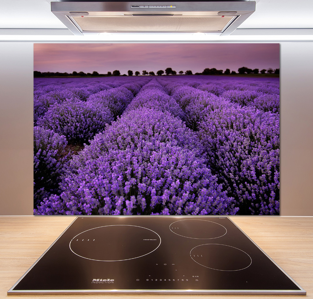 Cooker splashback Lavender field