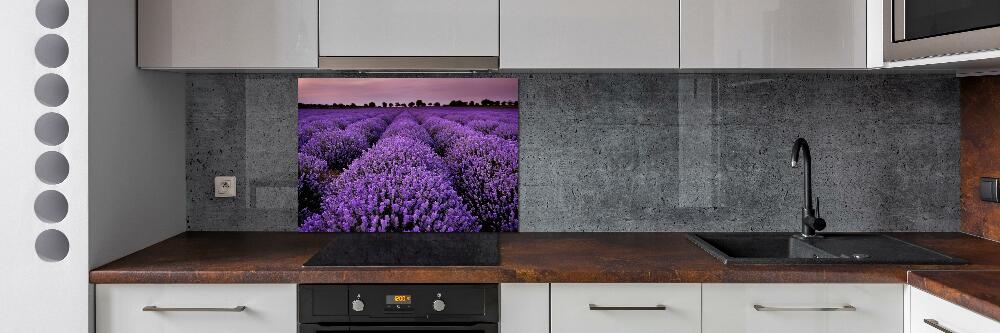 Cooker splashback Lavender field