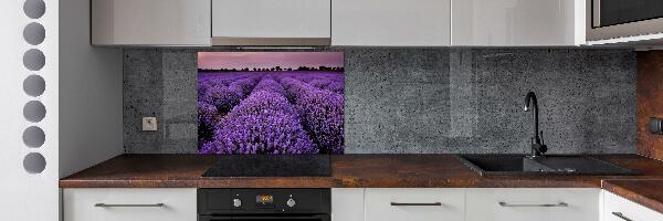 Cooker splashback Lavender field