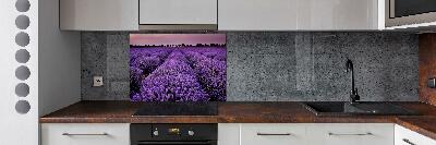 Cooker splashback Lavender field