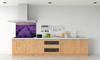 Cooker splashback Lavender field