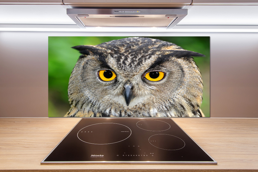 Cooker splashback Owl