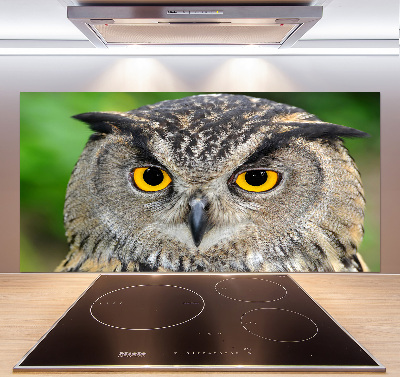 Cooker splashback Owl