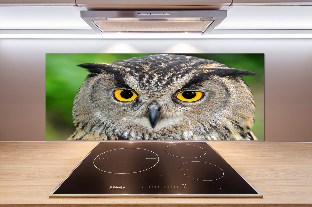 Cooker splashback Owl