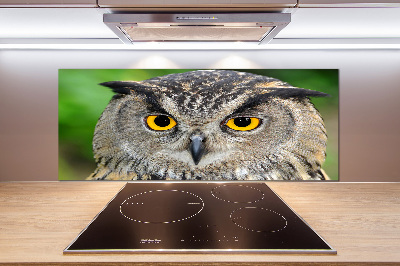 Cooker splashback Owl