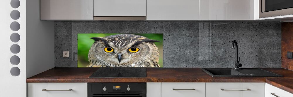 Cooker splashback Owl