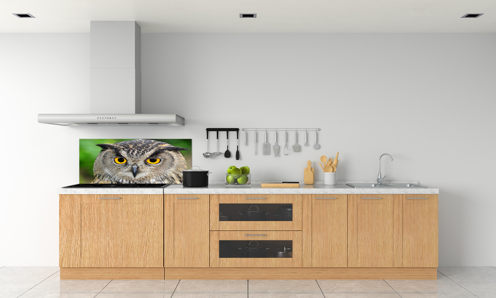 Cooker splashback Owl