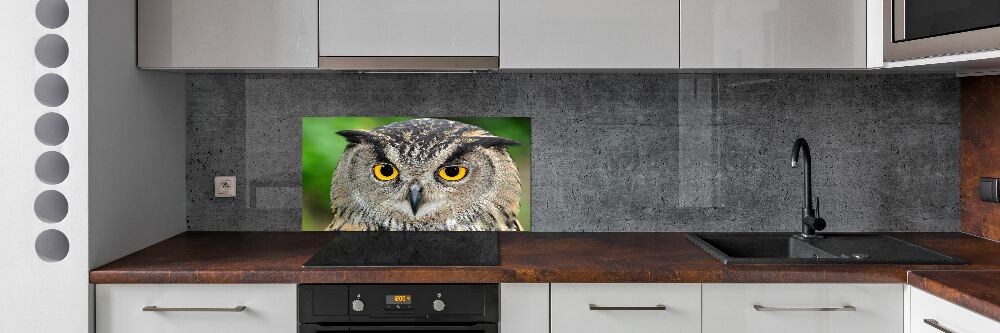 Cooker splashback Owl