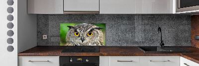 Cooker splashback Owl