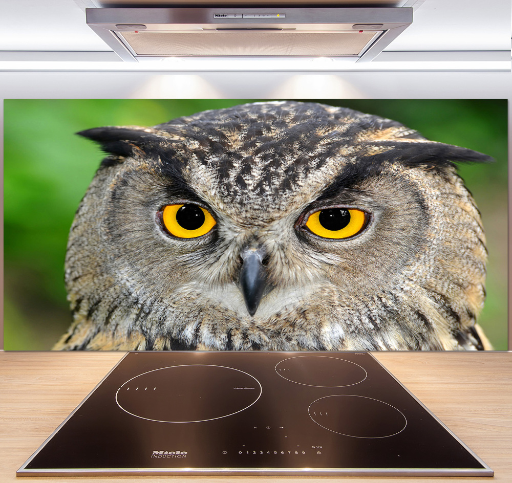 Cooker splashback Owl