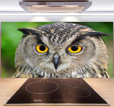 Cooker splashback Owl