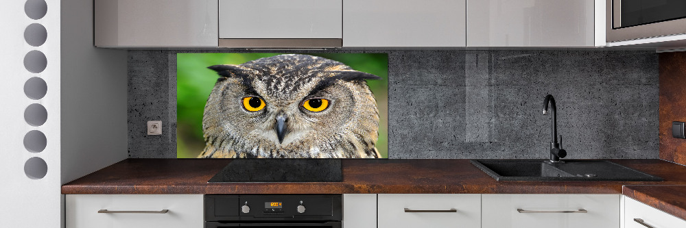 Cooker splashback Owl