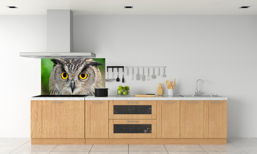 Cooker splashback Owl