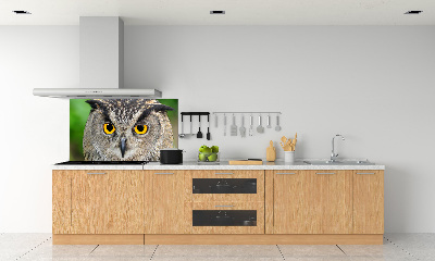 Cooker splashback Owl