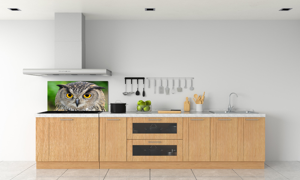 Cooker splashback Owl