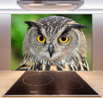 Cooker splashback Owl