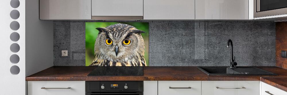 Cooker splashback Owl