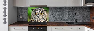 Cooker splashback Owl