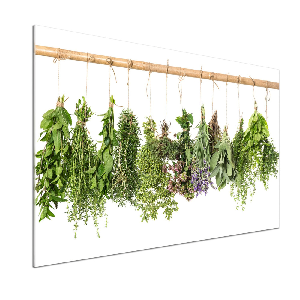 Cooker splashback Herbs on a string