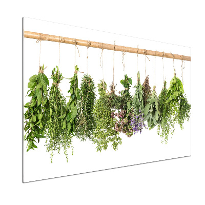 Cooker splashback Herbs on a string