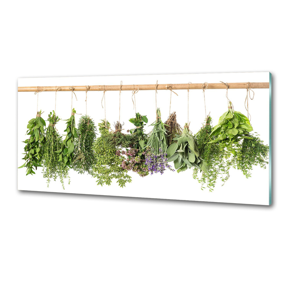 Cooker splashback Herbs on a string