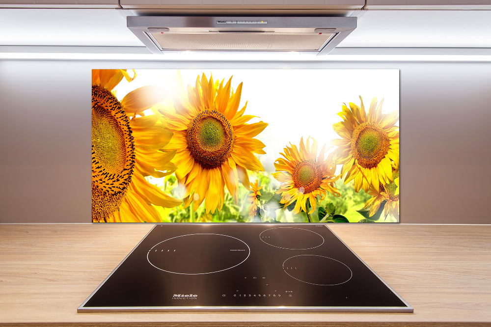 Cooker splashback Sunflowers