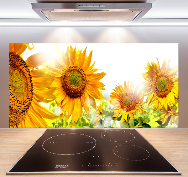 Cooker splashback Sunflowers