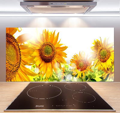 Cooker splashback Sunflowers