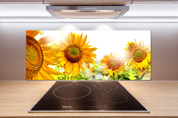 Cooker splashback Sunflowers